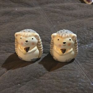 Cute Cream and Gray Hedgehog Salt And Pepper Shakers